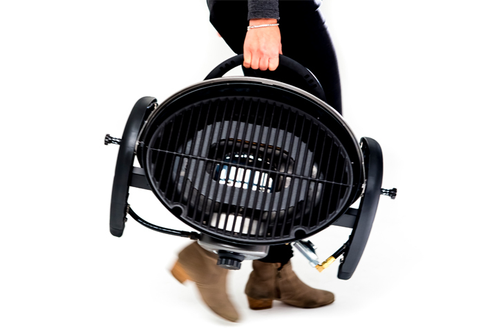 זיגי נסיעה ziggy 1