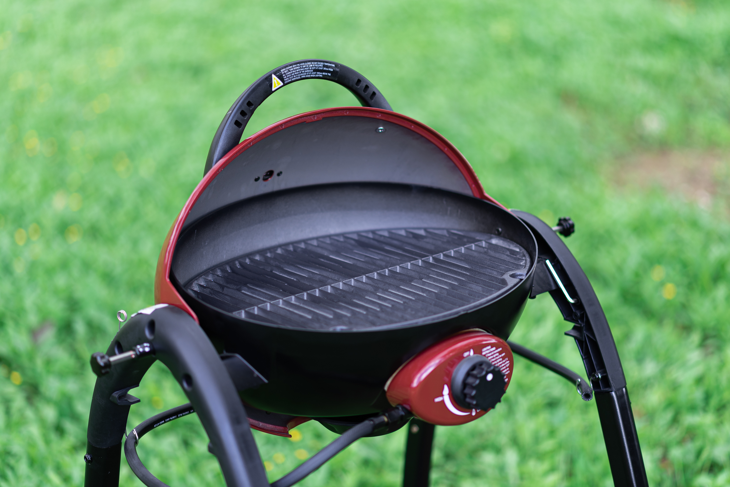 צילומי_גרילים_טבע._אייל_(198)