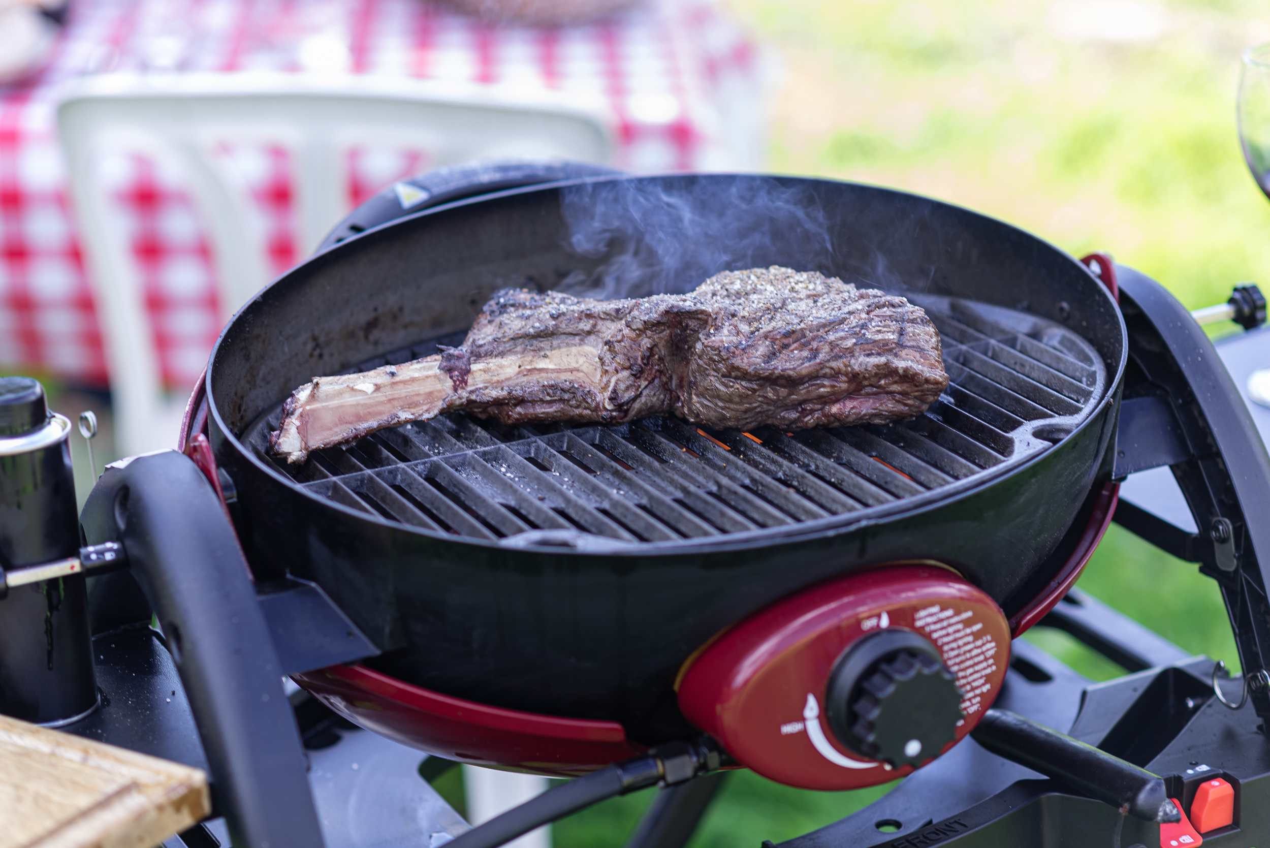 צילומי_גרילים_טבע._אייל_(410)