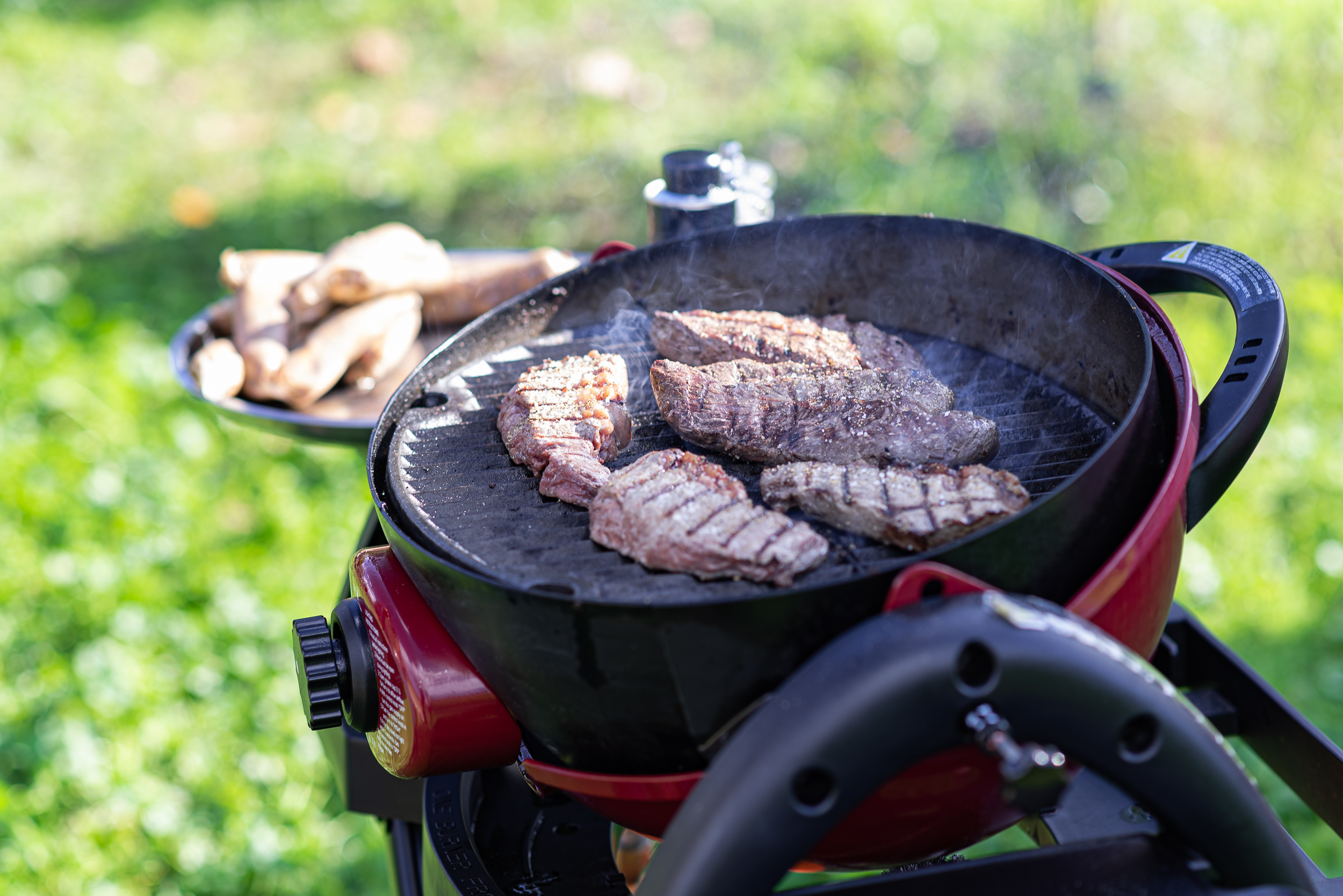 צילומי_גרילים_טבע._אייל_(477)