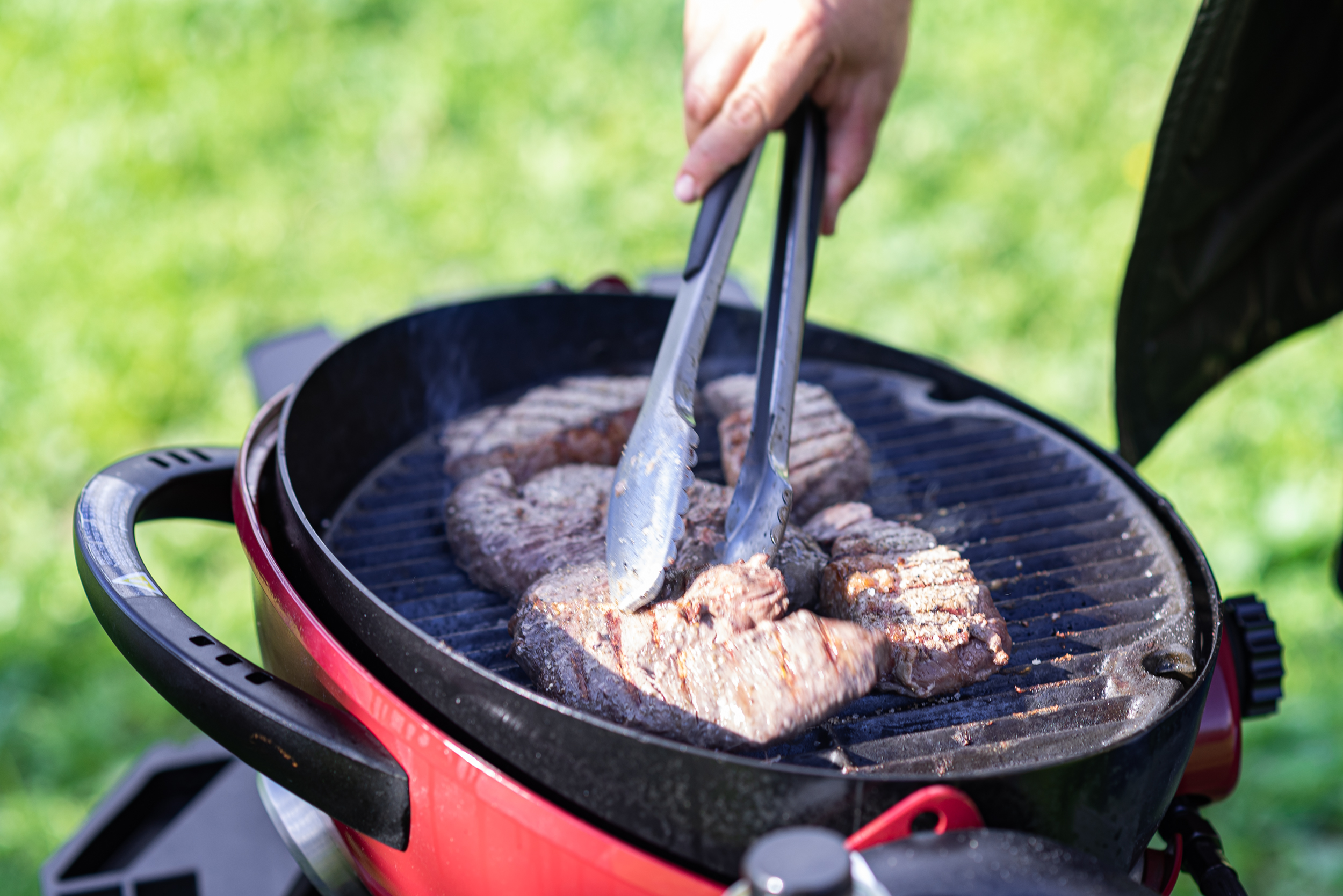 צילומי_גרילים_טבע._אייל_(482)