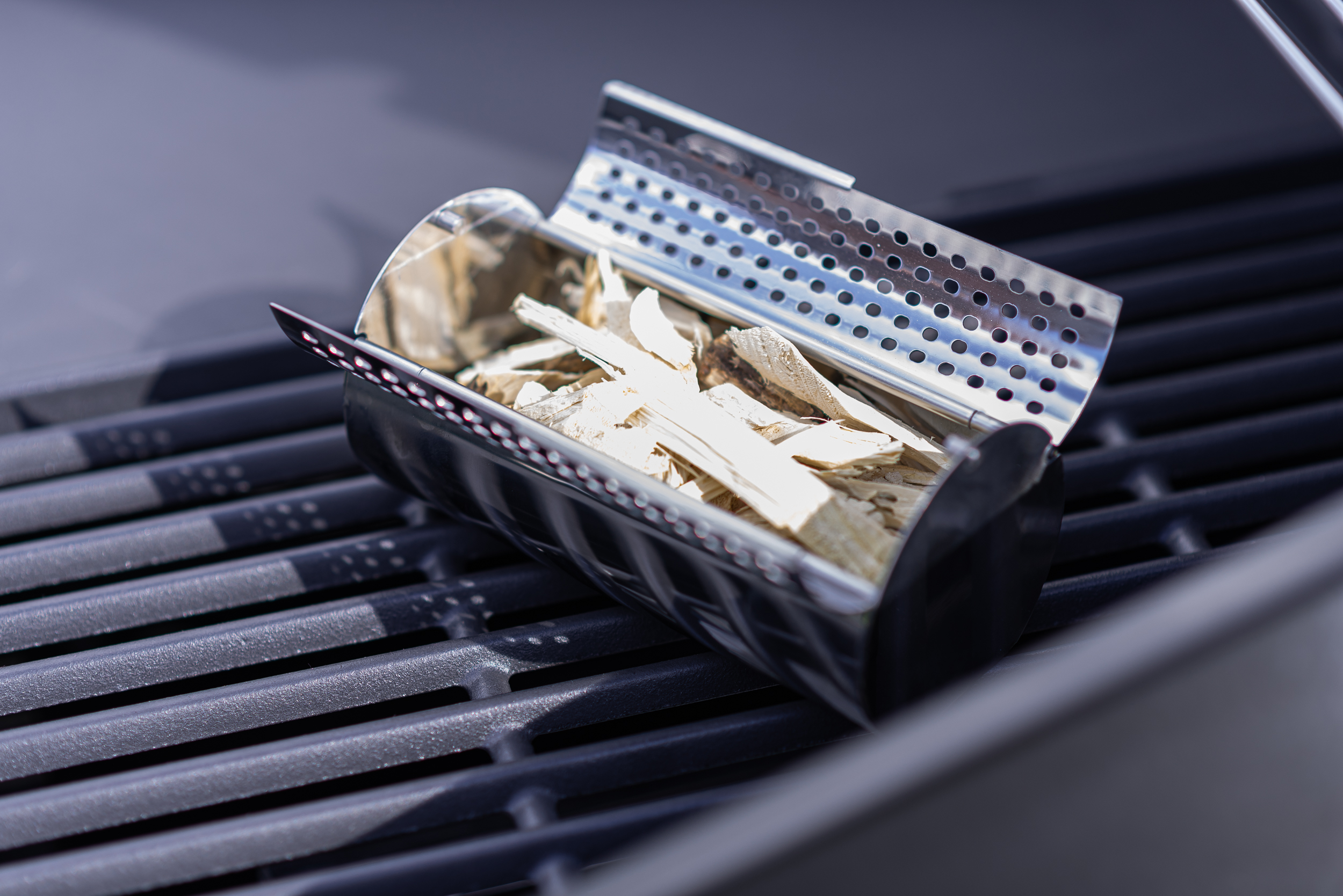 צילומי_גרילים_טבע._אייל_(228)