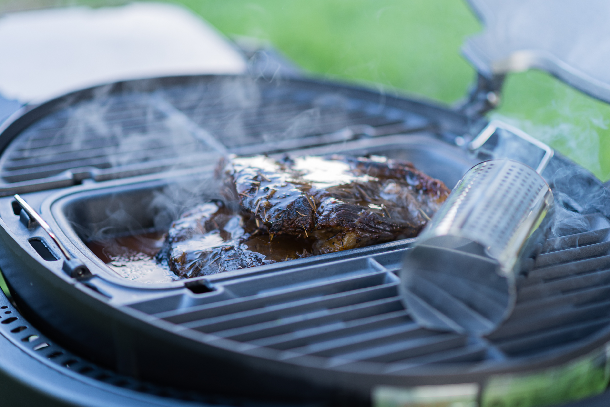 צילומי_גרילים_טבע._אייל_(671)