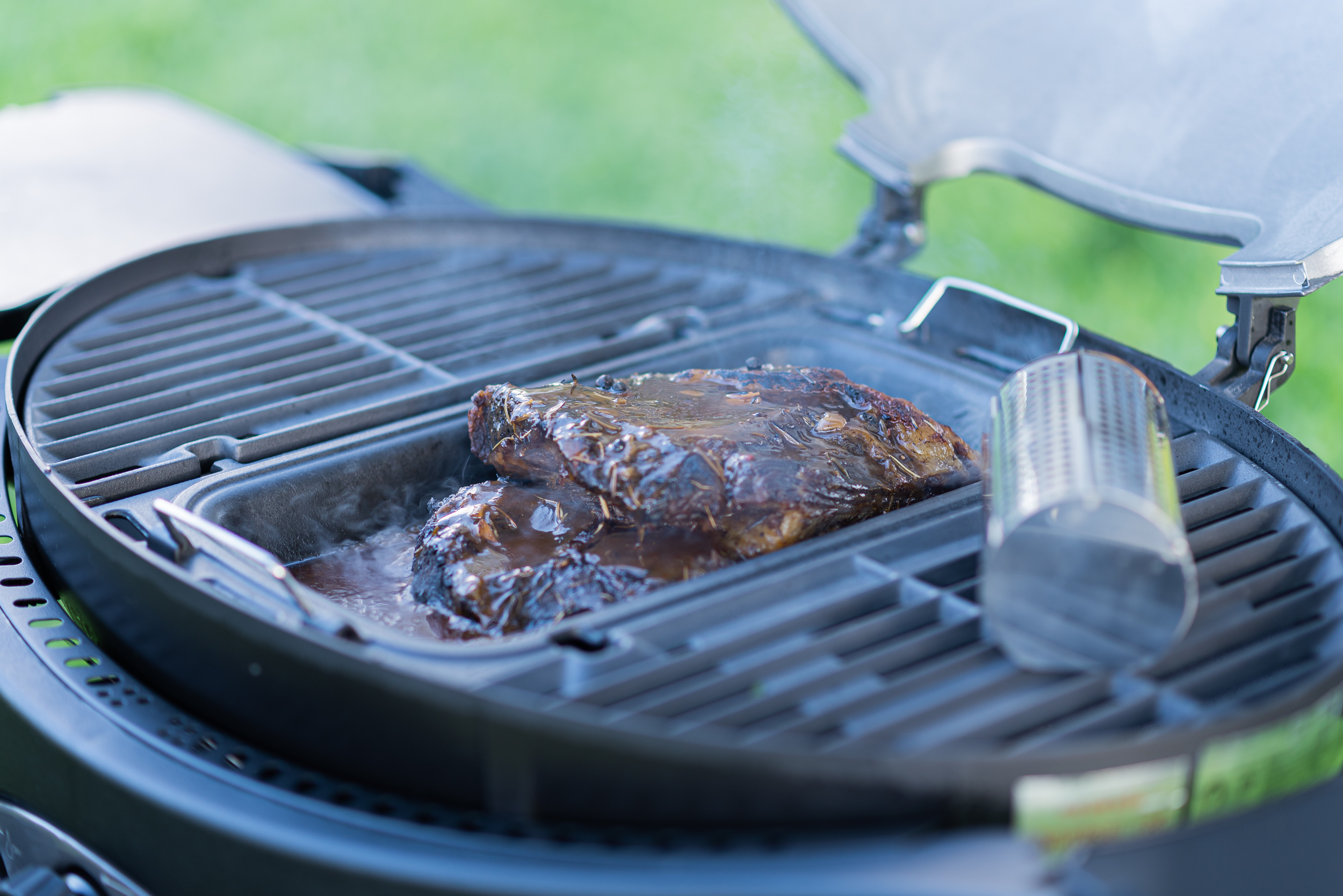 צילומי_גרילים_טבע._אייל_(672)