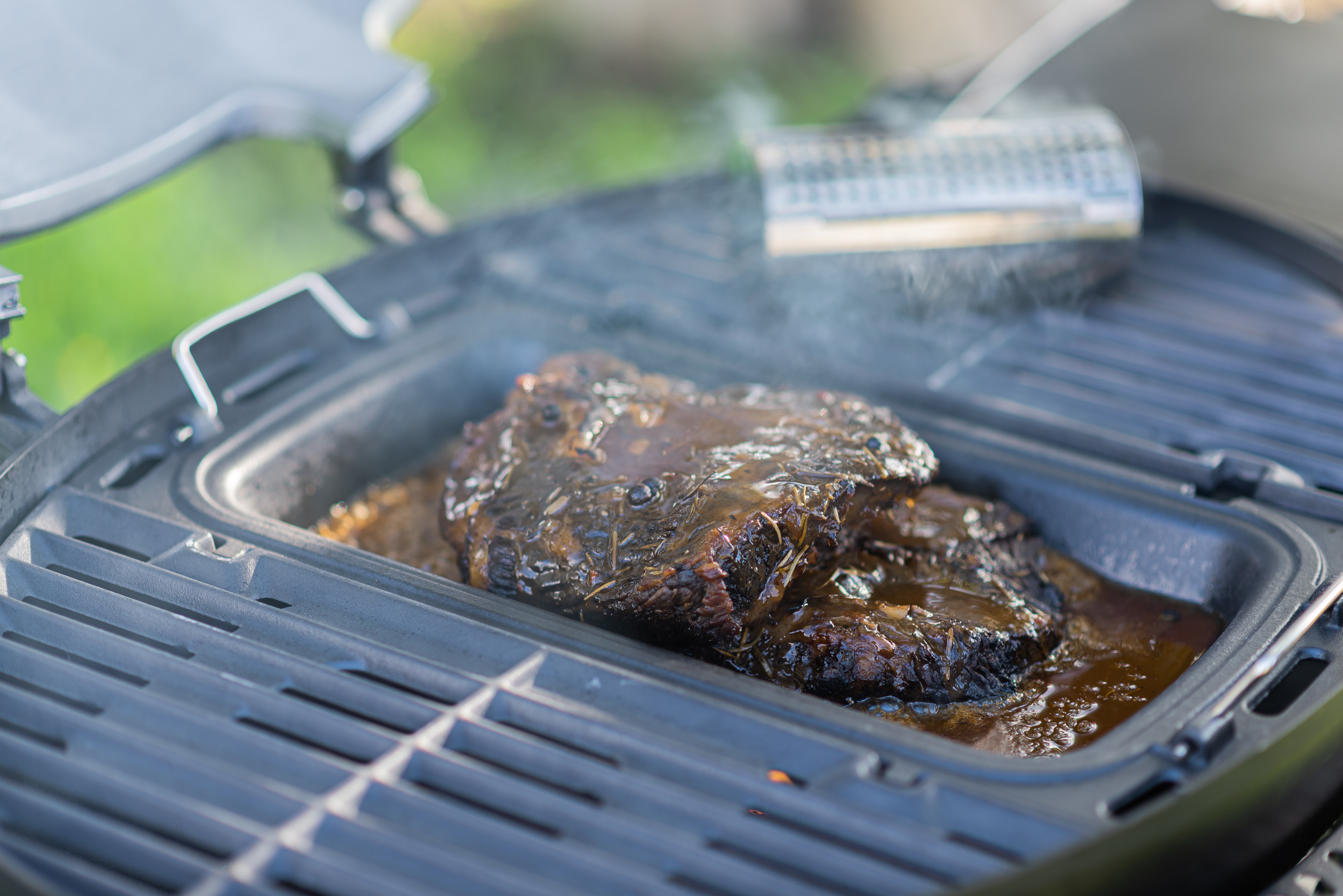 צילומי_גרילים_טבע._אייל_(677)