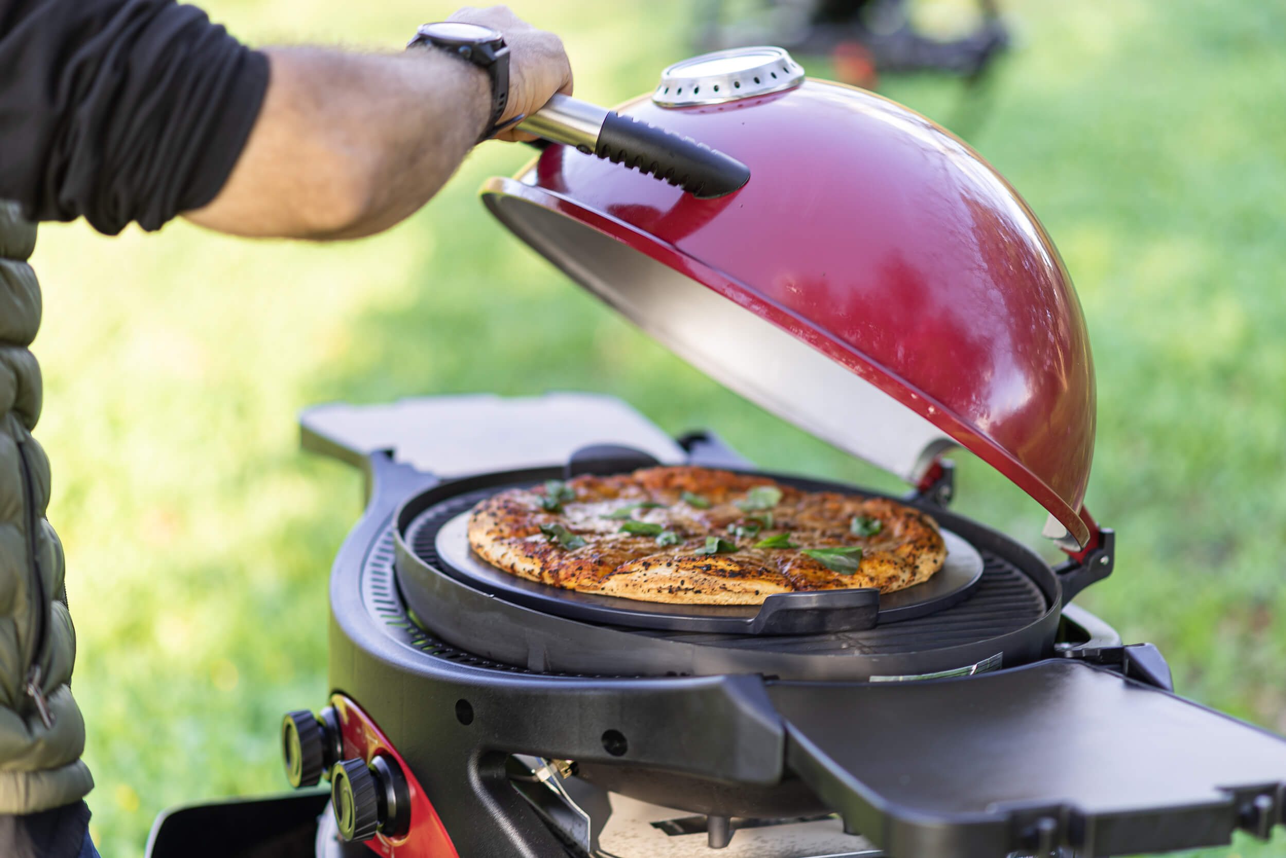 צילומי_גרילים_טבע._אייל_(714)